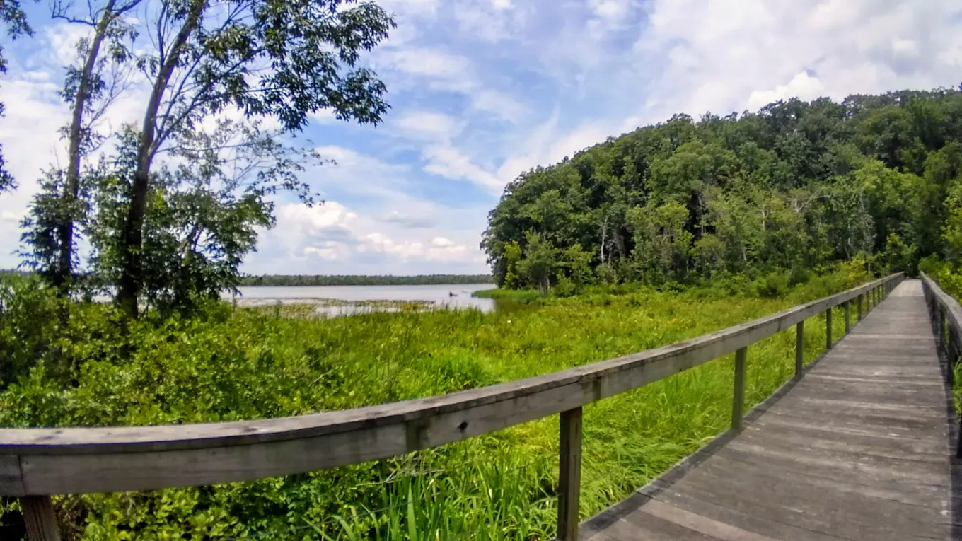 Voorhees Nature Preserve